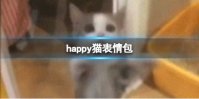 happy猫表情包 happy猫是什么梗